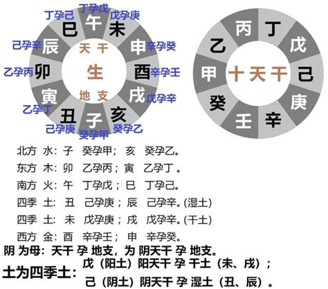 地支卯怎麼看